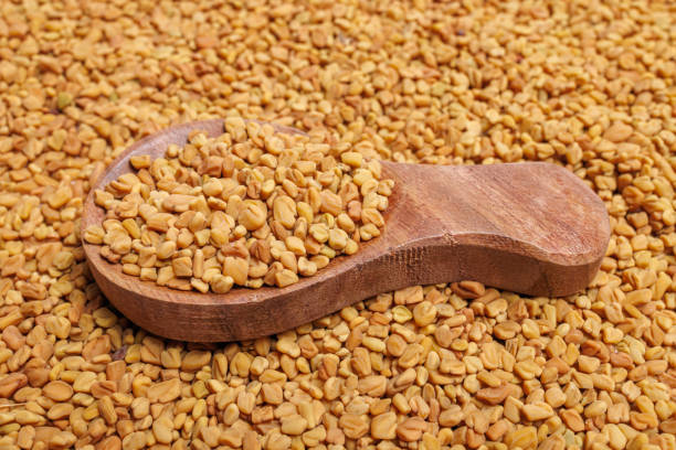 Mustard Seed